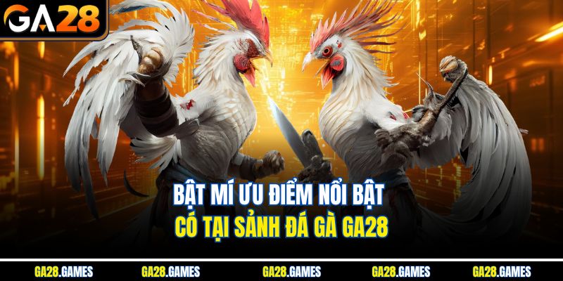 Bật mí ưu điểm nổi bật có tại sảnh đá gà Ga28