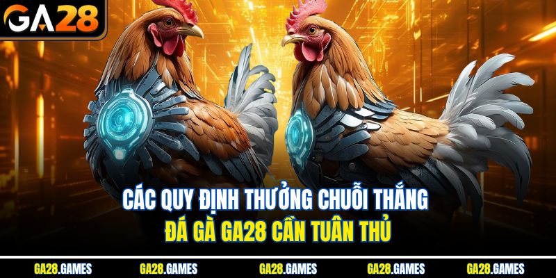 Các quy định thưởng chuỗi thắng đá gà Ga28 cần tuân thủ