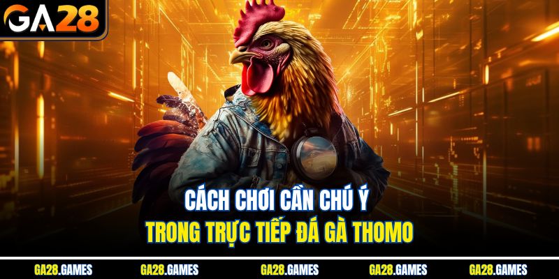 Cách chơi cần chú ý trong trực tiếp đá gà Thomo