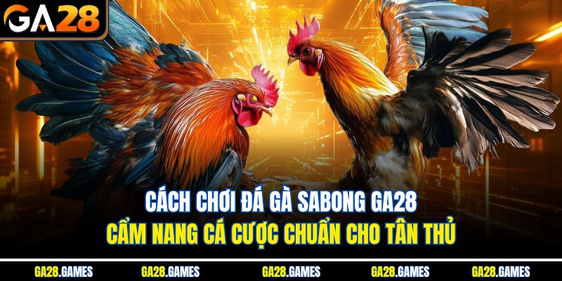 Cách chơi đá gà Sabong Ga28