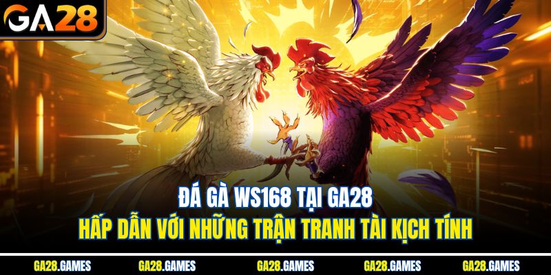 Đá gà WS168 tại Ga28