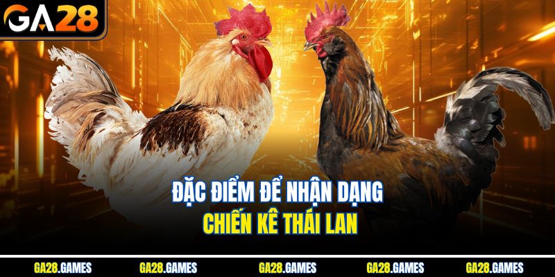 Đặc điểm để nhận dạng chiến kê Thái Lan