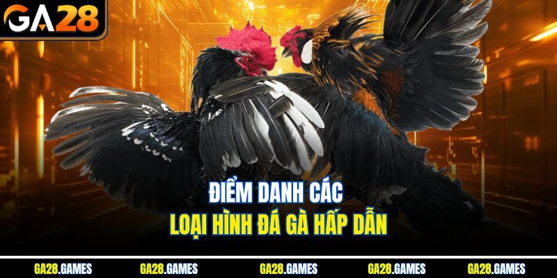Điểm danh các loại hình đá gà hấp dẫn