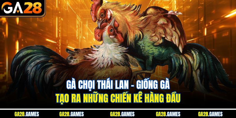 Gà Chọi Thái Lan