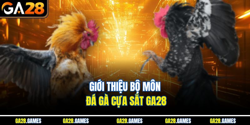 Giới thiệu bộ môn đá gà cựa sắt Ga28