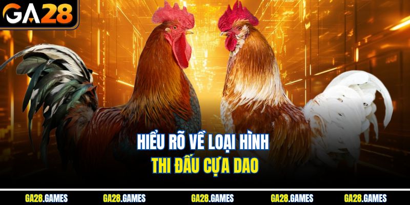 Hiểu rõ về loại hình thi đấu cựa dao
