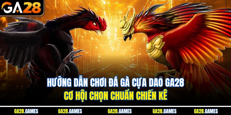 Hướng Dẫn Chơi Đá Gà Cựa Dao