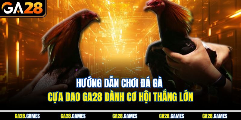 Hướng dẫn chơi đá gà cựa dao Ga28 dành cơ hội thắng lớn
