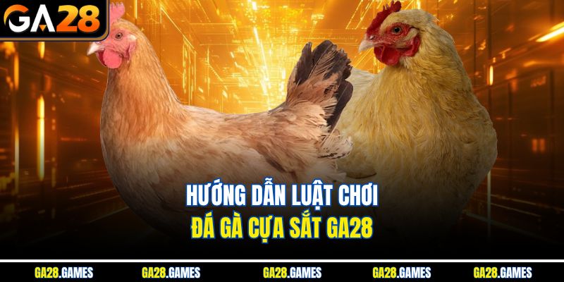 Hướng dẫn luật chơi đá gà cựa sắt Ga28