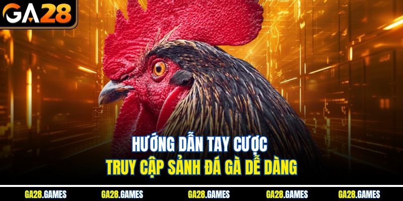 Hướng dẫn tay cược truy cập sảnh đá gà dễ dàng