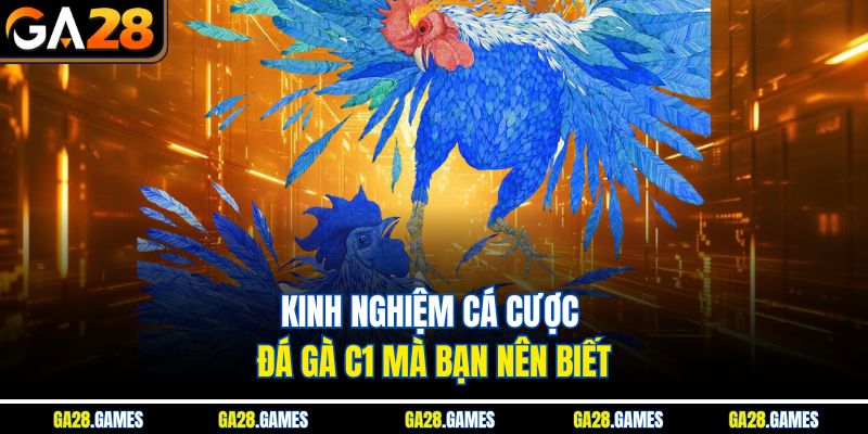 Kinh nghiệm cá cược đá gà C1 mà bạn nên biết