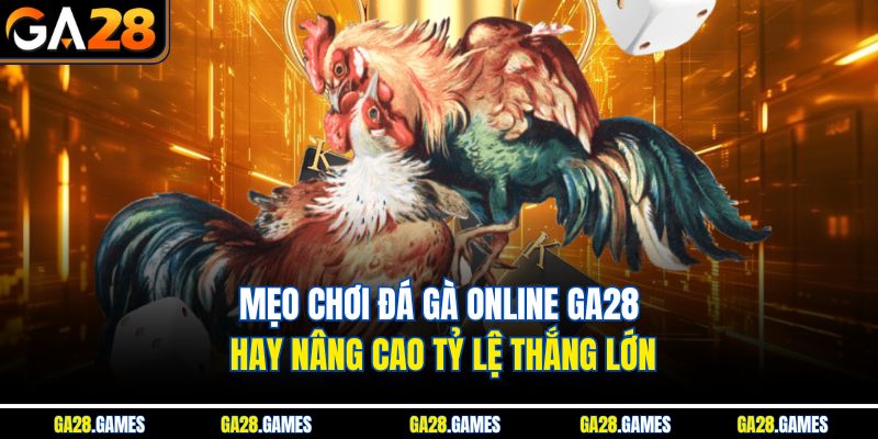 Mẹo chơi đá gà online Ga28 hay nâng cao tỷ lệ thắng lớn
