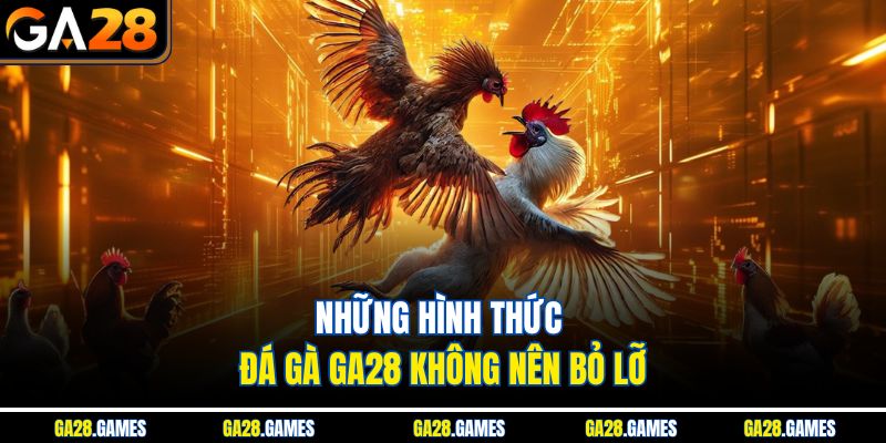 Những hình thức đá gà Ga28 không nên bỏ lỡ