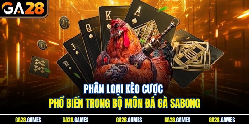 Phân loại kèo cược phổ biến trong bộ môn đá gà Sabong