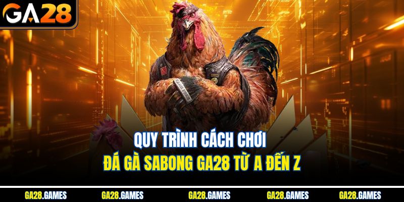 Quy trình cách chơi đá gà Sabong Ga28 từ A đến Z