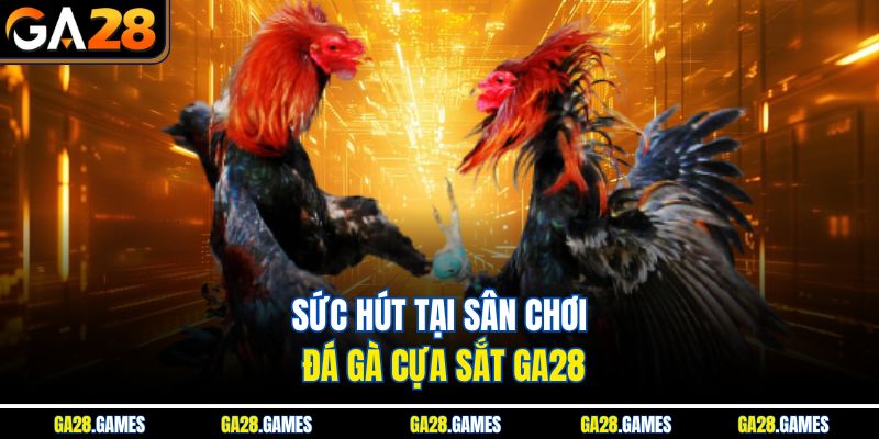 Sức hút tại sân chơi đá gà cựa sắt Ga28