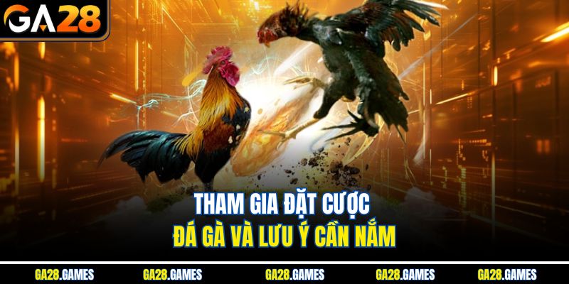 Tham gia đặt cược đá gà và lưu ý cần nắm