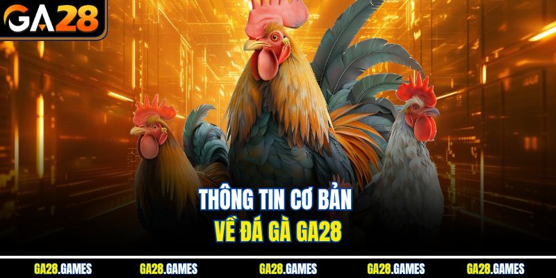 Thông tin cơ bản về đá gà Ga28