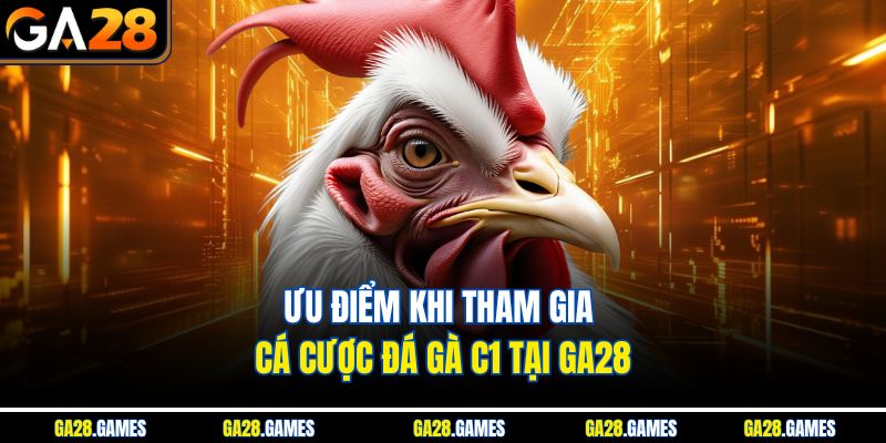 Ưu điểm khi tham gia cá cược đá gà C1 tại Ga28